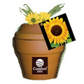 Deluxe Plant Kit with Sunflower Seeds